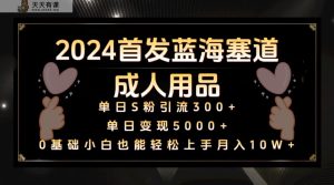 2024先发瀚海塞道两性用品,月入10W 家庭保姆实例教程-天天有课网
