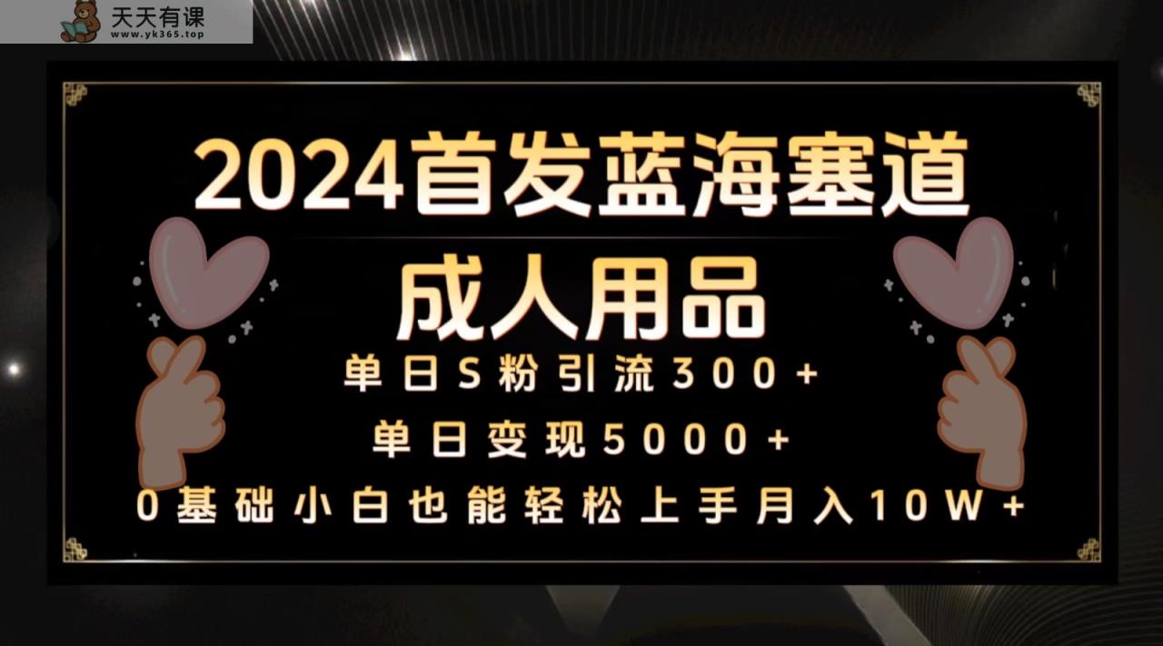 2024先发瀚海塞道两性用品，月入10W 家庭保姆实例教程-天天有课网