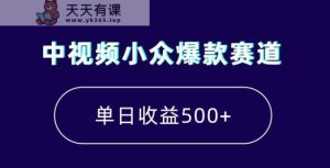 中视频小众爆款赛道，7天涨粉5万+，小白也能无脑操作，轻松月入上万【揭秘】-天天有课网