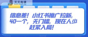 信息差！小红书推广拉新，40一个，无门槛，现在人少赶紧入局！-天天有课网