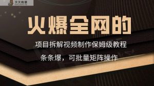 火爆全网项目拆卸类视频如何制作，一条条爆，家庭保姆级实例教程-天天有课网