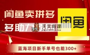 淘宝闲鱼拼多多助力新项目，蓝海项目初学者运单号也可以300-天天有课网