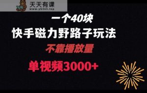 一个40块，快手联合美团磁力新玩法，无视机制野路子玩法，单视频收益4位数【揭秘】-天天有课网