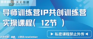 导师训练营3.0IP共创训练营私密实操课程-卖项目的密码成功秘诀-天天有课网