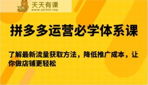 拼多多运营必学体系课-了解最新流量获取方法,降低推广成本,让你做店铺更轻松-天天有课网
