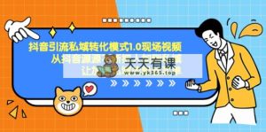 抖音视频-引流方法私域转化方式1.0视频录像，从抖音视频源源不绝将人加进公域，让加…-天天有课网