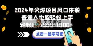 2024年受欢迎新项目出风口来临平常人也可以快速上手轻轻松松日入500-1000-天天有课网