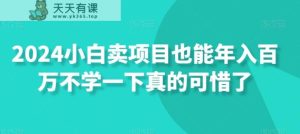 2024小白卖项目也能年入百万不学一下真的可惜了-天天有课网