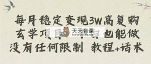 每月平稳转现3W高回购风水玄学新项目，新手也可以做没有任何限制 实例教程 销售话术-天天有课网