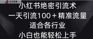 小红书绝密引流术，一天引流100＋精准流量，适合各个行业，小白也能轻松上手-天天有课网