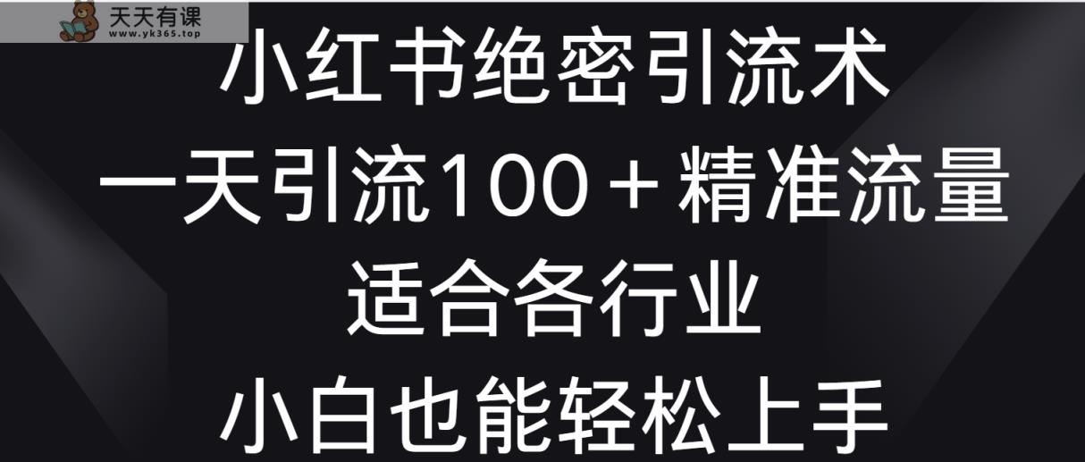 小红书绝密引流术，一天引流100＋精准流量，适合各个行业，小白也能轻松上手-天天有课网
