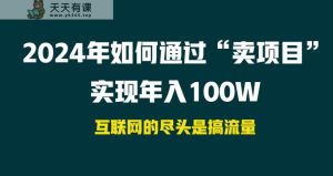 2024年怎样通过“卖项目”完成年收入100W-天天有课网