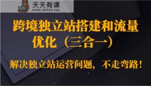 跨境独立站搭建和总流量提升处理独立站运营难题，少走弯路！-天天有课网