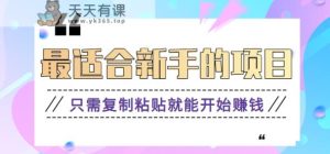 2024最适合新手实际操作项目，新手入门仅需拷贝就能开始挣钱【视频教学 手机软件】-天天有课网