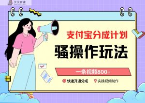 支付宝钱包分为方案迷之操作实例教程，一条视频800 ，迅速开启分为方案撸盈利-天天有课网