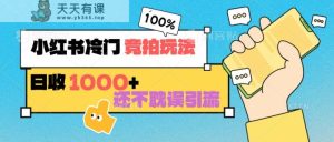 小红书的小众 竞价游戏玩法 日收1000 也不耽误引流方法 能够做店铺 能做公域-天天有课网