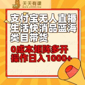 新手30min懂得支付宝钱包无人直播生活快消品蓝海类目卖货,0成本费引流矩阵游戏多开实际操作日1000 收益-天天有课网