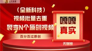 全新自动式去重复技术性，批量处理百分之百过原创设计-天天有课网