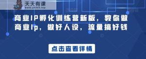 商业IP孵化训练营新版，教你做商业Ip，做好人设，流量搞好钱-天天有课网