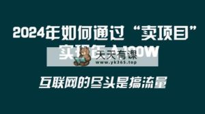 2024年怎样通过“卖项目”完成年收入100W-天天有课网