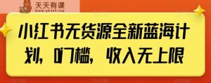 小红书无货源全新蓝海计划，0门槛，收入无上限【揭秘】-天天有课网