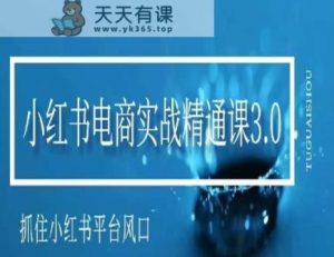 小红书电商实战精通课3.0，抓住小红书平台的风口，不错过有一个赚钱的机会-天天有课网