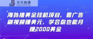 海外撸美金挂机项目，看广告刷视频赚美元，学会你也能月赚2000美金-天天有课网