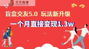 盲盒交友5.0，玩法全新升级，一个月直接变现1.3W，新手小白轻松上手【揭秘】-天天有课网