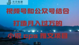 微信视频号和公众号融合打造出月入上万的小说集cps文章新项目,包含市面上上边的各种各样构思详细说明-天天有课网