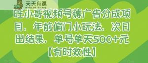 旺小哥视频号薅广告分成项目，年前偏门小玩法，次日出结果，单号单天500+元【有时效性】-天天有课网