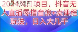 2024风口项目，抖音无人主播撸音浪+卖课程玩法，日入大几千【揭秘】-天天有课网