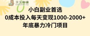 小白副业首选,0成本投入,每天变现1000-2000年底暴力冷门项目【揭秘】-天天有课网