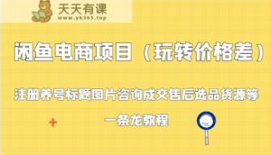 闲鱼平台电商项目：申请注册起号背景图片资询交易量售后服务选款一手货源等，一条龙实例教程-天天有课网