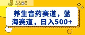 养生音药赛道，蓝海赛道，日入500+【揭秘】-天天有课网