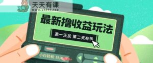 2024最新撸视频收益玩法，第一天发，第二天就有钱-天天有课网