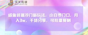 咸鱼货源冷门新玩法,小白零门口,月入3w,干货分享,可批量复制-天天有课网