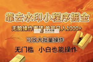 去水印小程序 拼多多平台 没脑子打金 ，运单号日入1000  家庭保姆级实例教程 可变大批量处理-天天有课网