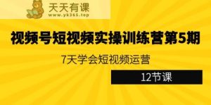 视频号短视频实操训练营第5期：7天学会短视频运营-天天有课网