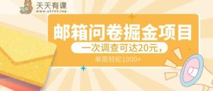 邮箱问卷掘金项目,一次调查可达20元,可矩阵放大,一周轻松1000+-天天有课网
