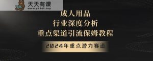 2024年重点潜力赛道，成人用品行业深度分析，重点渠道引流保姆教程【揭秘】-天天有课网