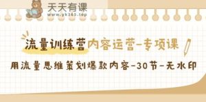 流量训练营之内容运营专项课，用流量思维策划爆款内容-天天有课网