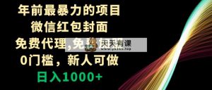年以前最粗暴的新项目，微信红包封面，代理网站，0门坎，新手能做，日赚1000-天天有课网