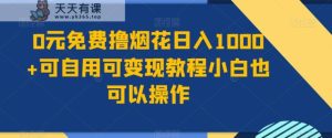 0元免费撸烟花日入1000+可自用可变现教程小白也可以操作,永久免费更新链接-天天有课网