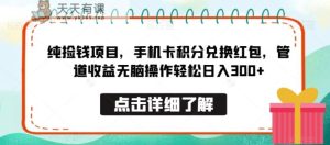纯捡钱项目，手机卡积分兑换红包，管道收益无脑操作轻松日入300+-天天有课网