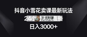 抖音小小雪花购买课程全新游戏玩法，24钟头无人直播，日赚3000-天天有课网