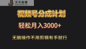 视频号流量分成，不用剪辑，有手就行，轻松月入2000+-天天有课网