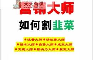 《营销大师如何割韭菜》严禁教给别人大师功法电子书籍-天天有课网