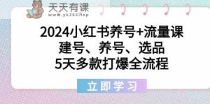 2024小红书的起号 总流量课：创号、起号、选款，5天几款打穿全过程-天天有课网
