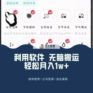 全新瀚海独家代理游戏玩法,利用计算机没脑子运送,新手轻轻松松日入1000+-天天有课网