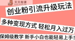 创业粉引流升级玩法，多种变现方式轻松月入过万，保姆级教学新手小白也能轻易上手！-天天有课网